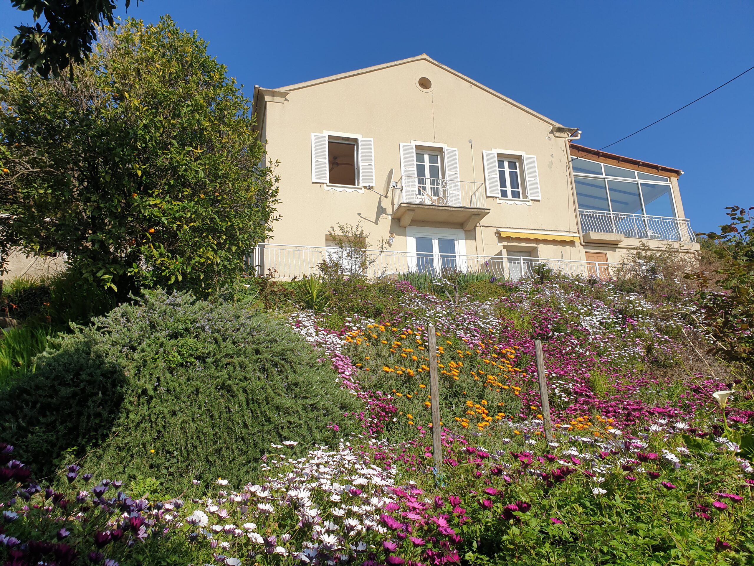 Jardin 1 Scaled